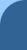 HCSIS Logo